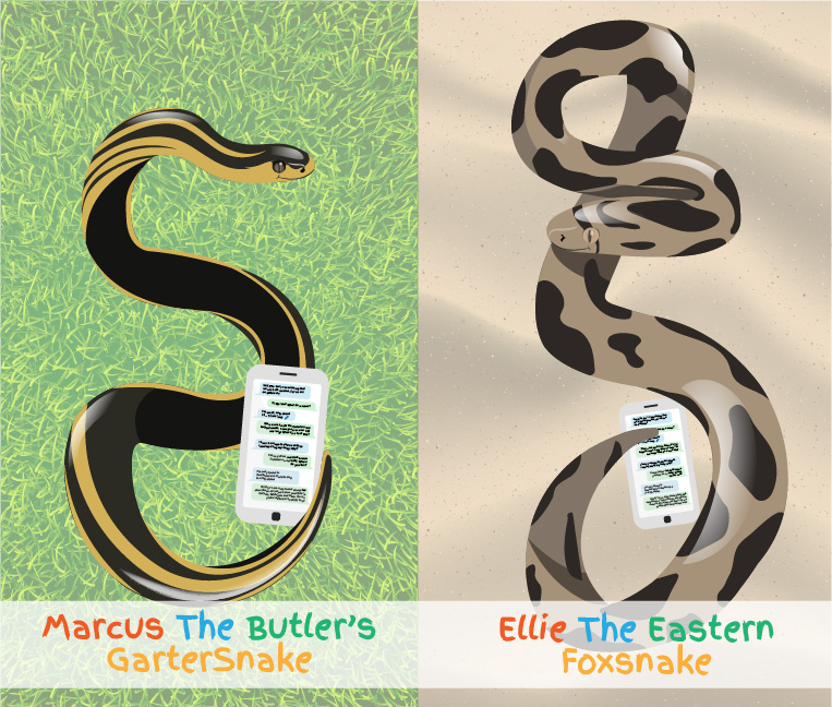 Marcus the Butler's Gartersnake and Ellie the Eastern Foxsnake are on their cell phone's texting each other.